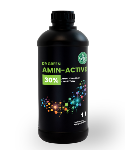 Amin–Active